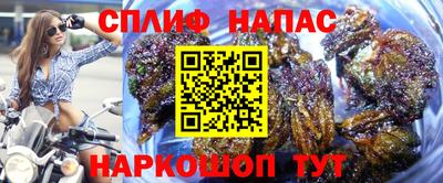 СК Ирбит